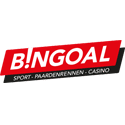 Casino Bingoal
